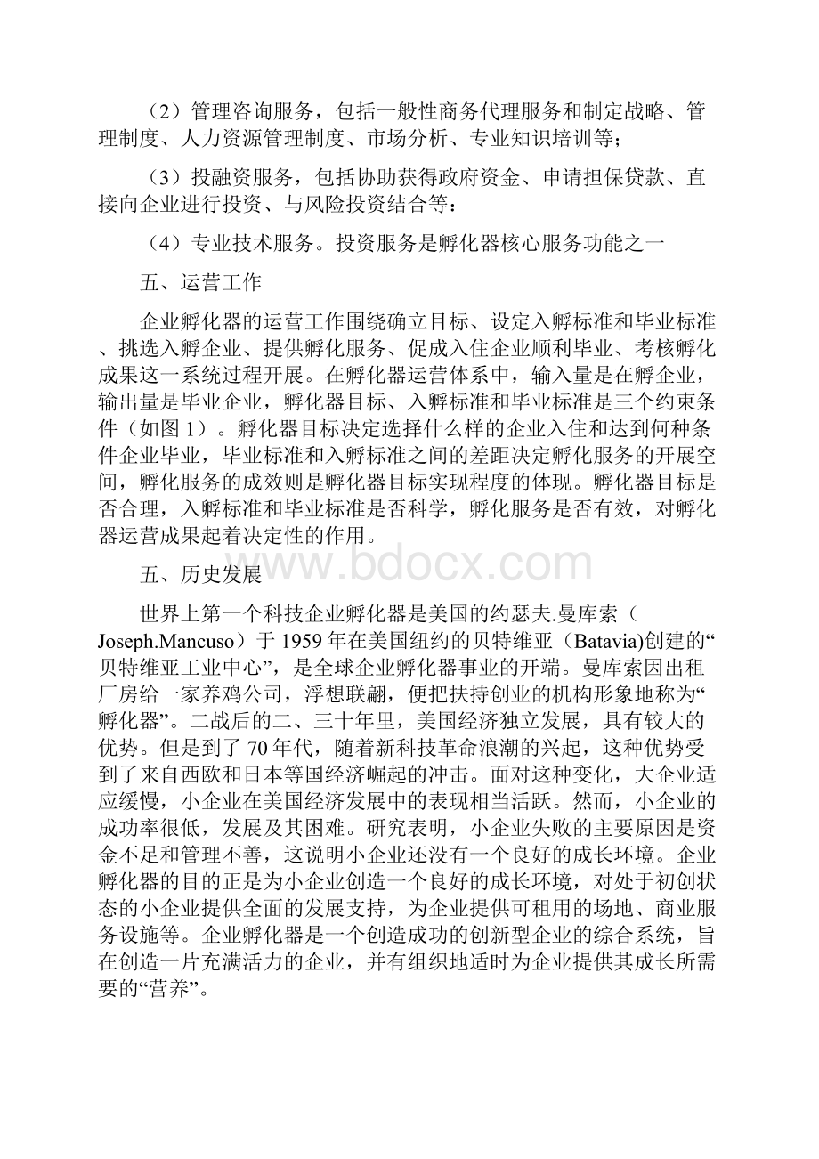 企业孵化器规划要点.docx_第3页