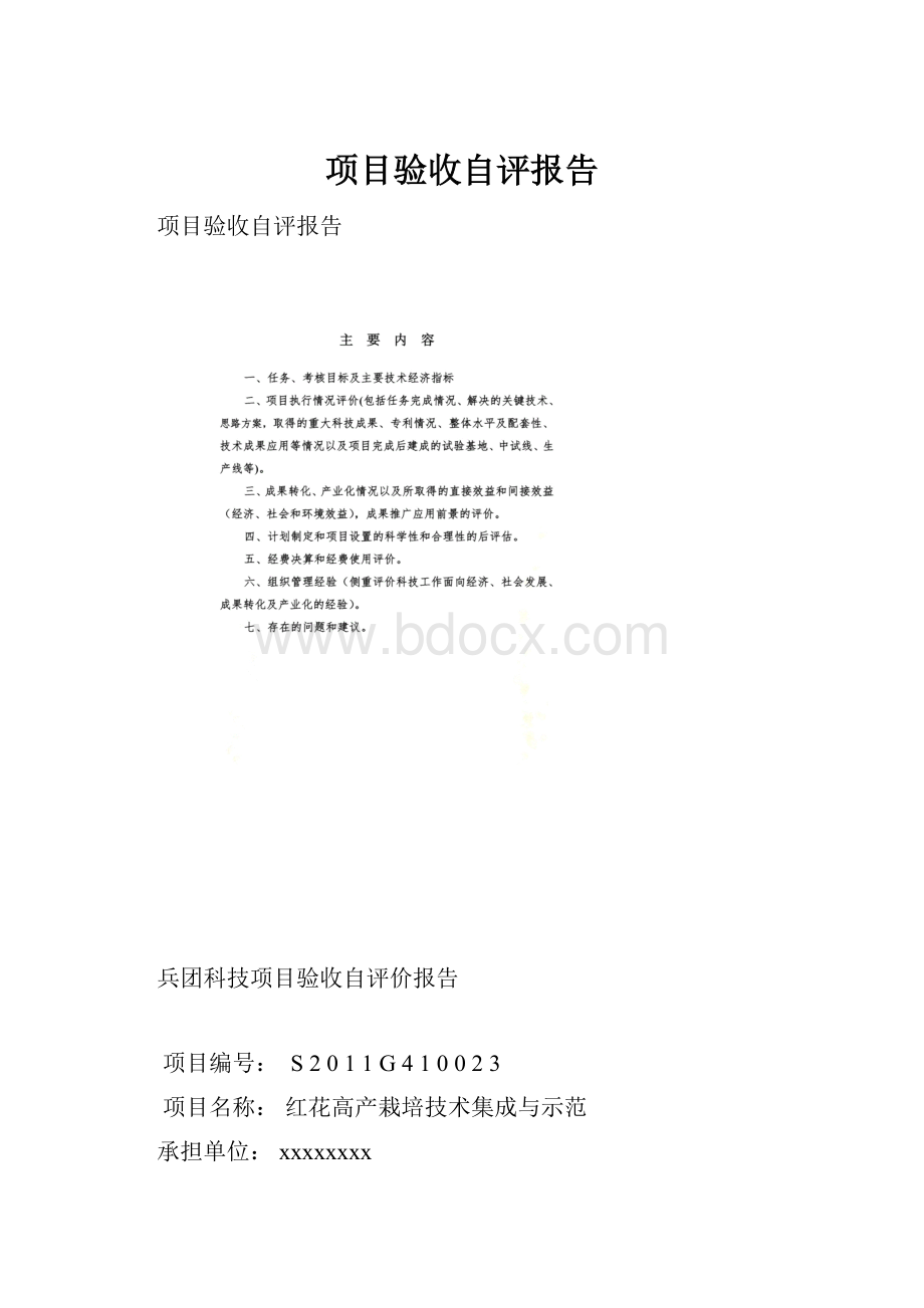 项目验收自评报告.docx