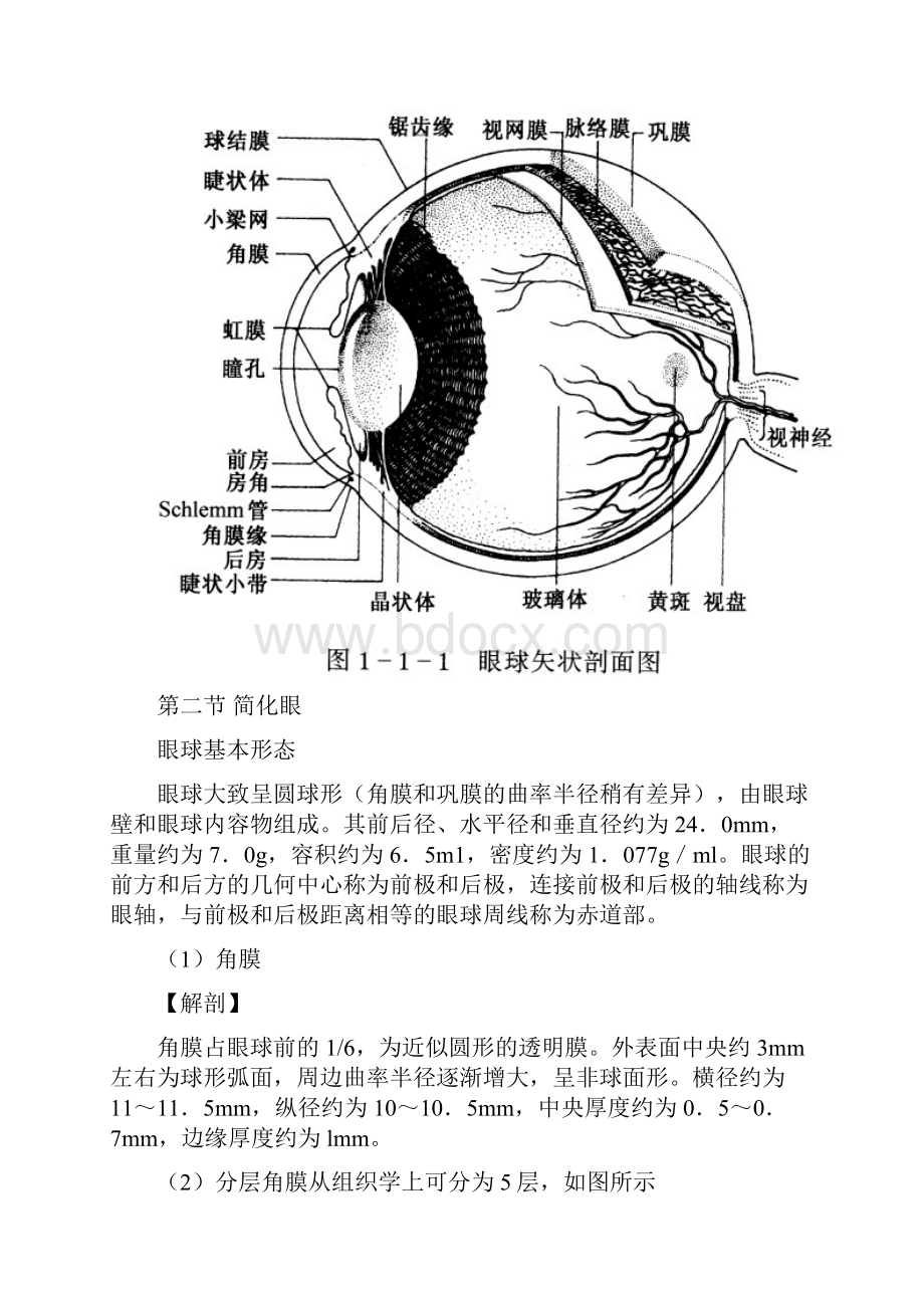 眼视光培训教材Word格式.docx_第2页