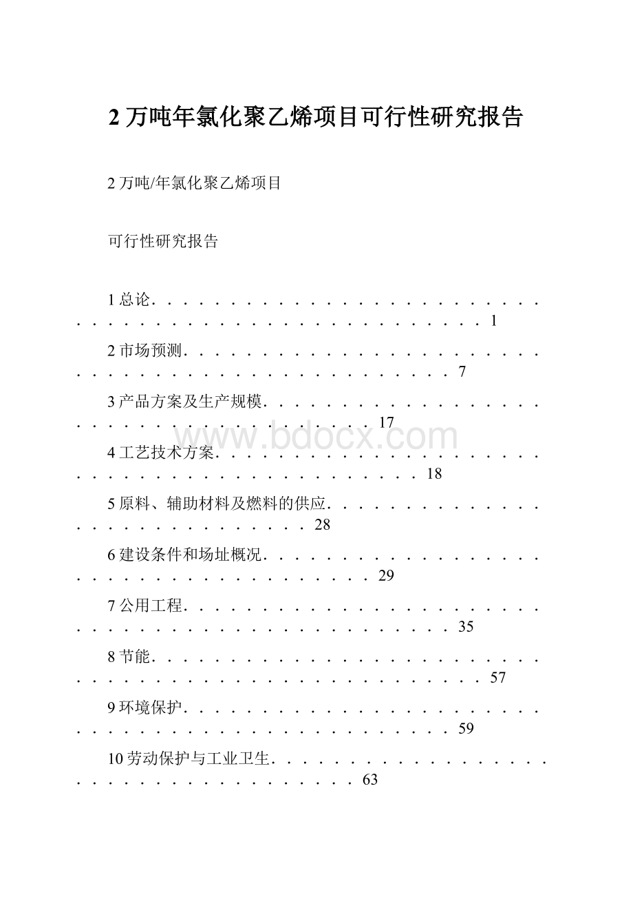 2万吨年氯化聚乙烯项目可行性研究报告文档格式.docx