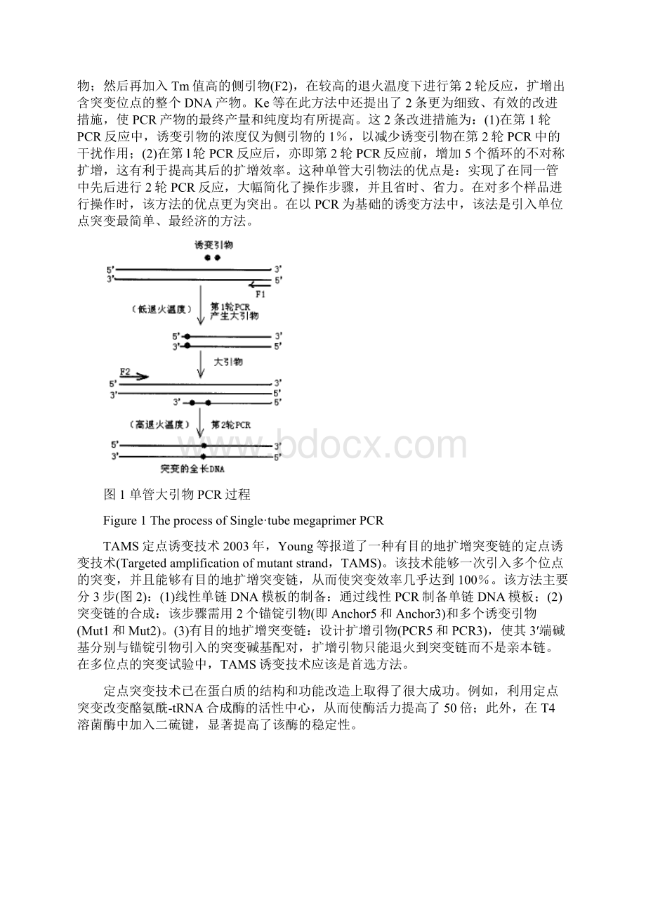 基因工程及其在大肠杆菌生产人干扰素中的应用.docx_第3页