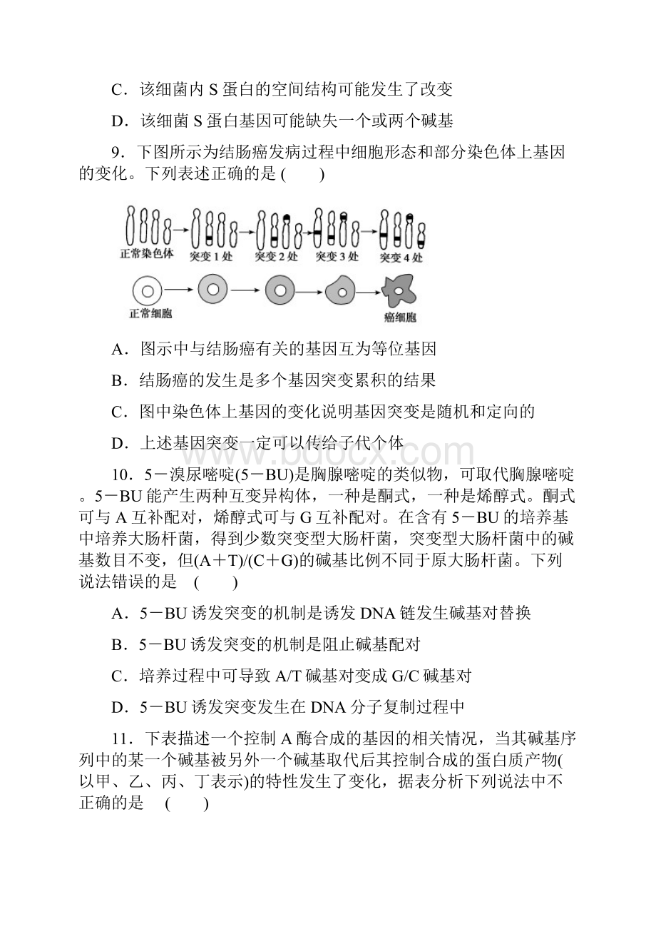 基因突变基因重组和染色体变异.docx_第3页