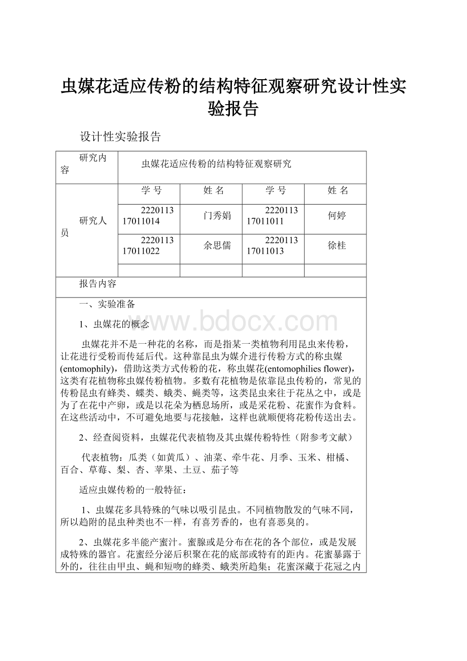 虫媒花适应传粉的结构特征观察研究设计性实验报告.docx