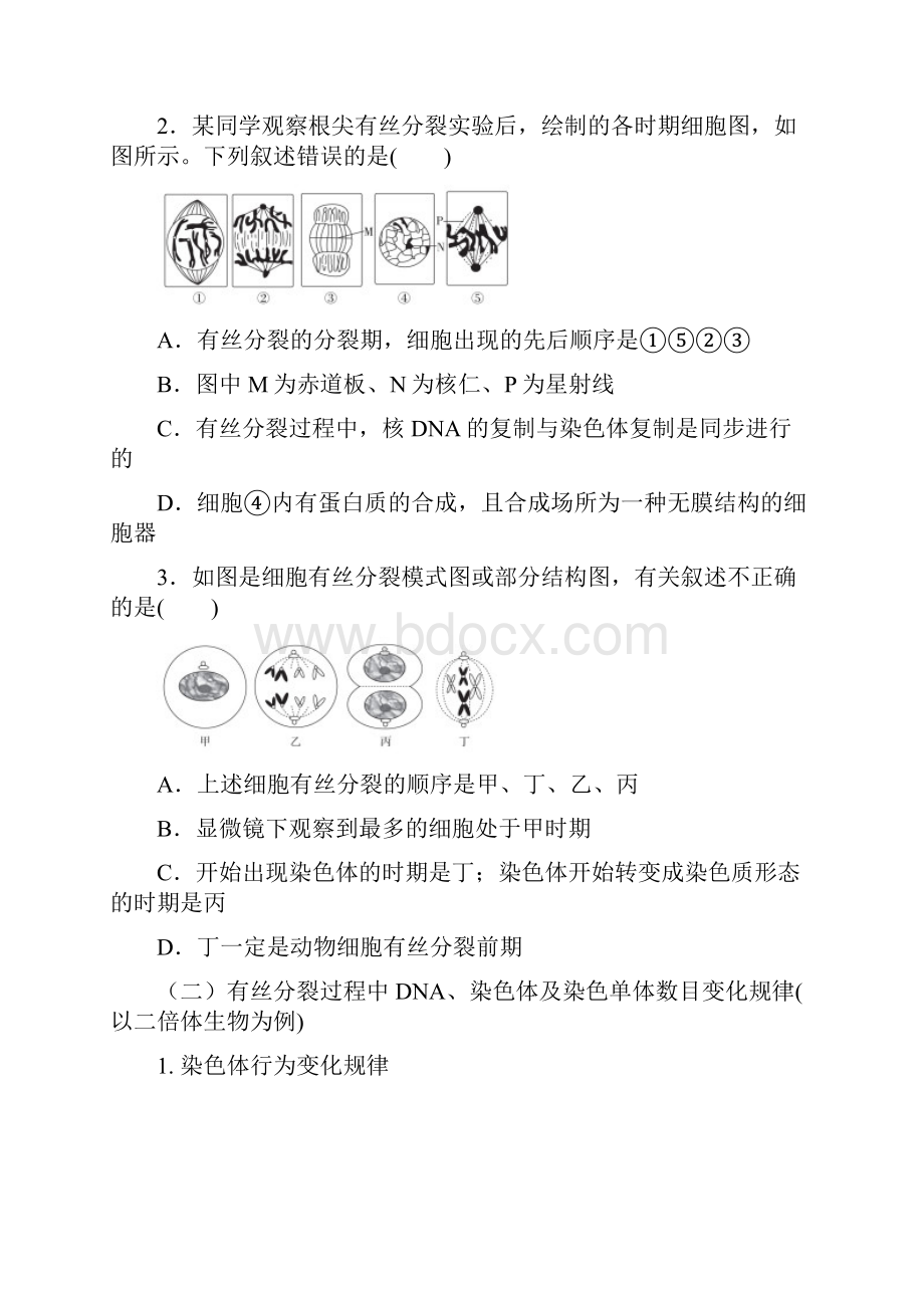 人教版高中生物细胞分裂专题复习填空版文档格式.docx_第3页