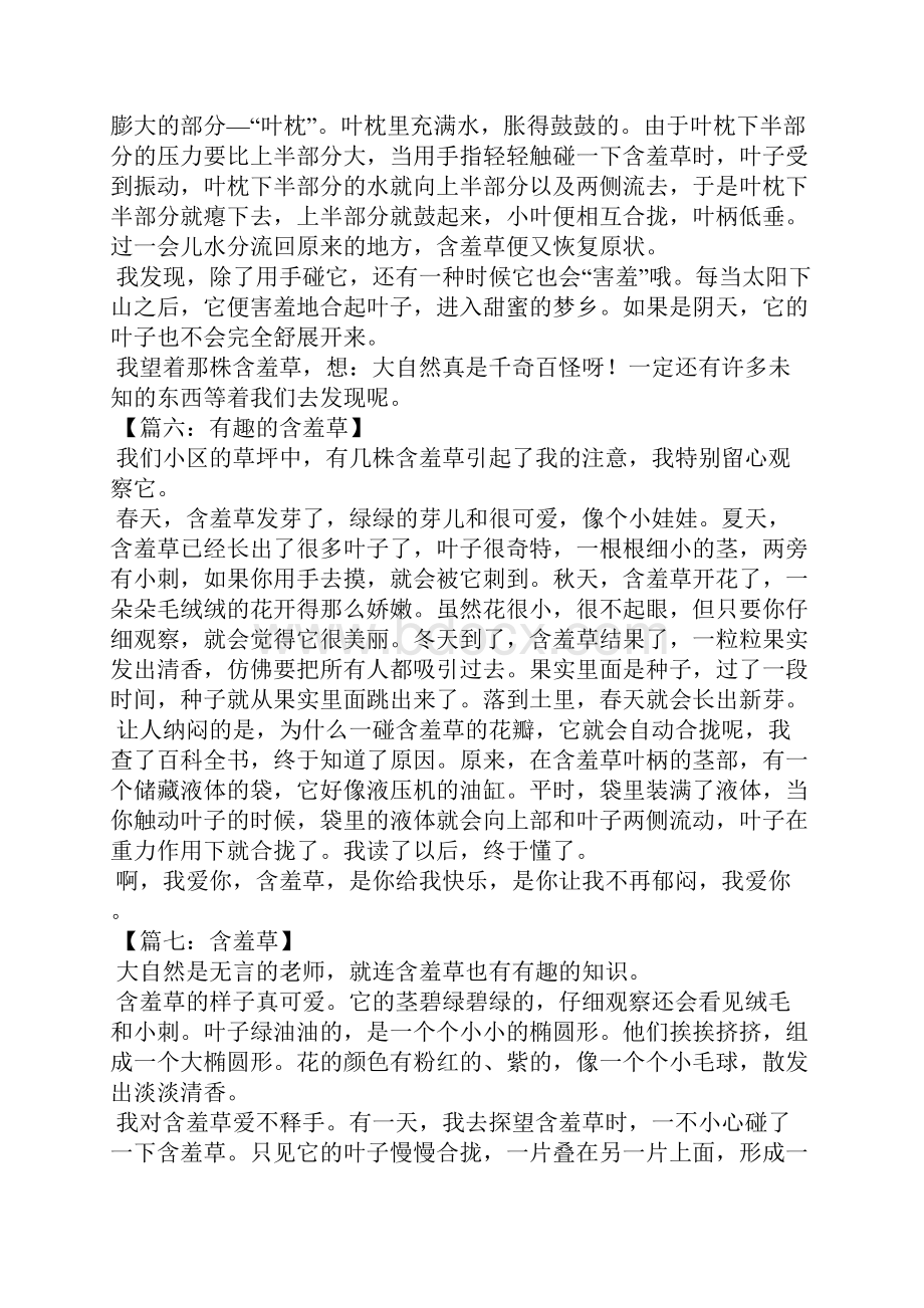 含羞草作文的结尾二年级作文Word格式.docx_第3页