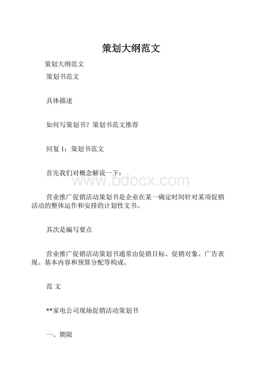 策划大纲范文Word格式.docx