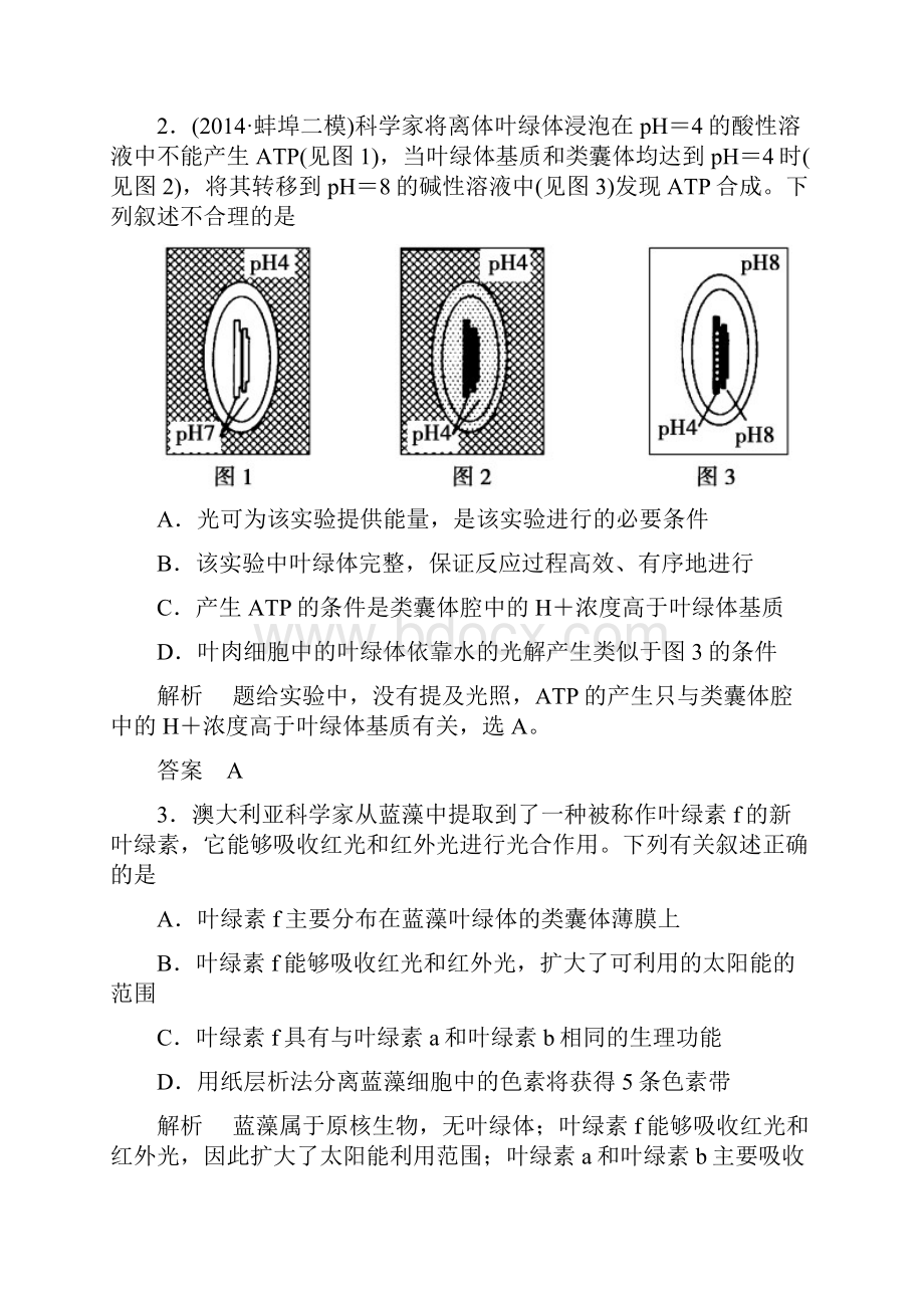 导学教程届高考生物一轮总复习 第三单元 第三讲 能量之源光与光合作用限时检测Word格式文档下载.docx_第2页