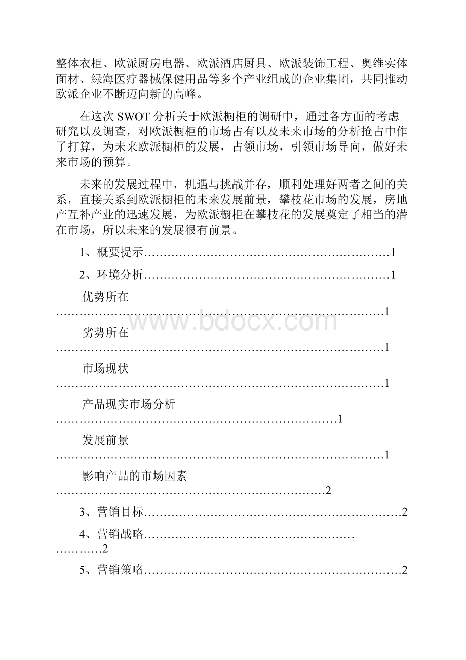 欧派橱柜营销策划报告Word下载.docx_第2页