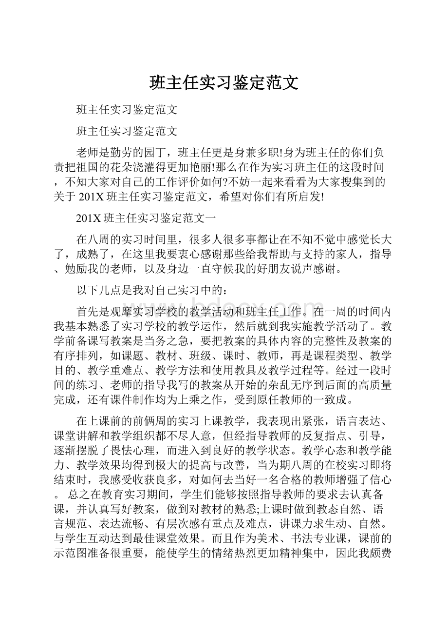 班主任实习鉴定范文.docx