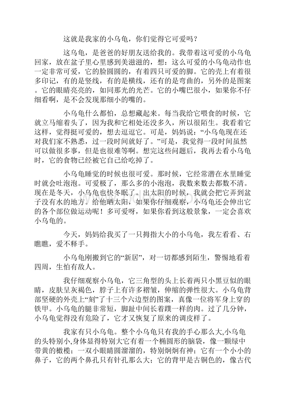 我家的小乌龟Word文档下载推荐.docx_第3页