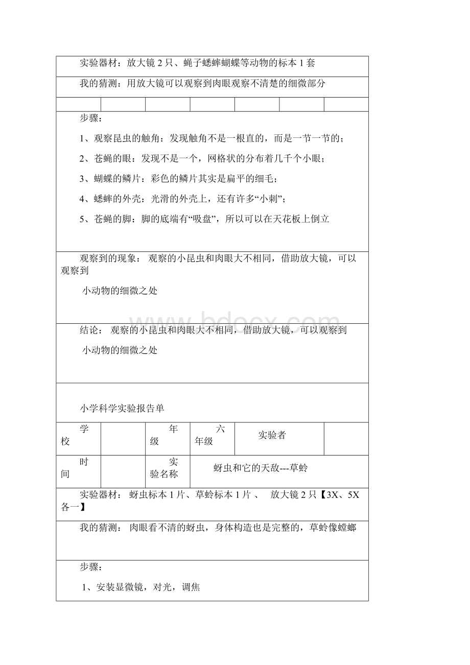 六年级科学实验报告Word文档下载推荐.docx_第3页