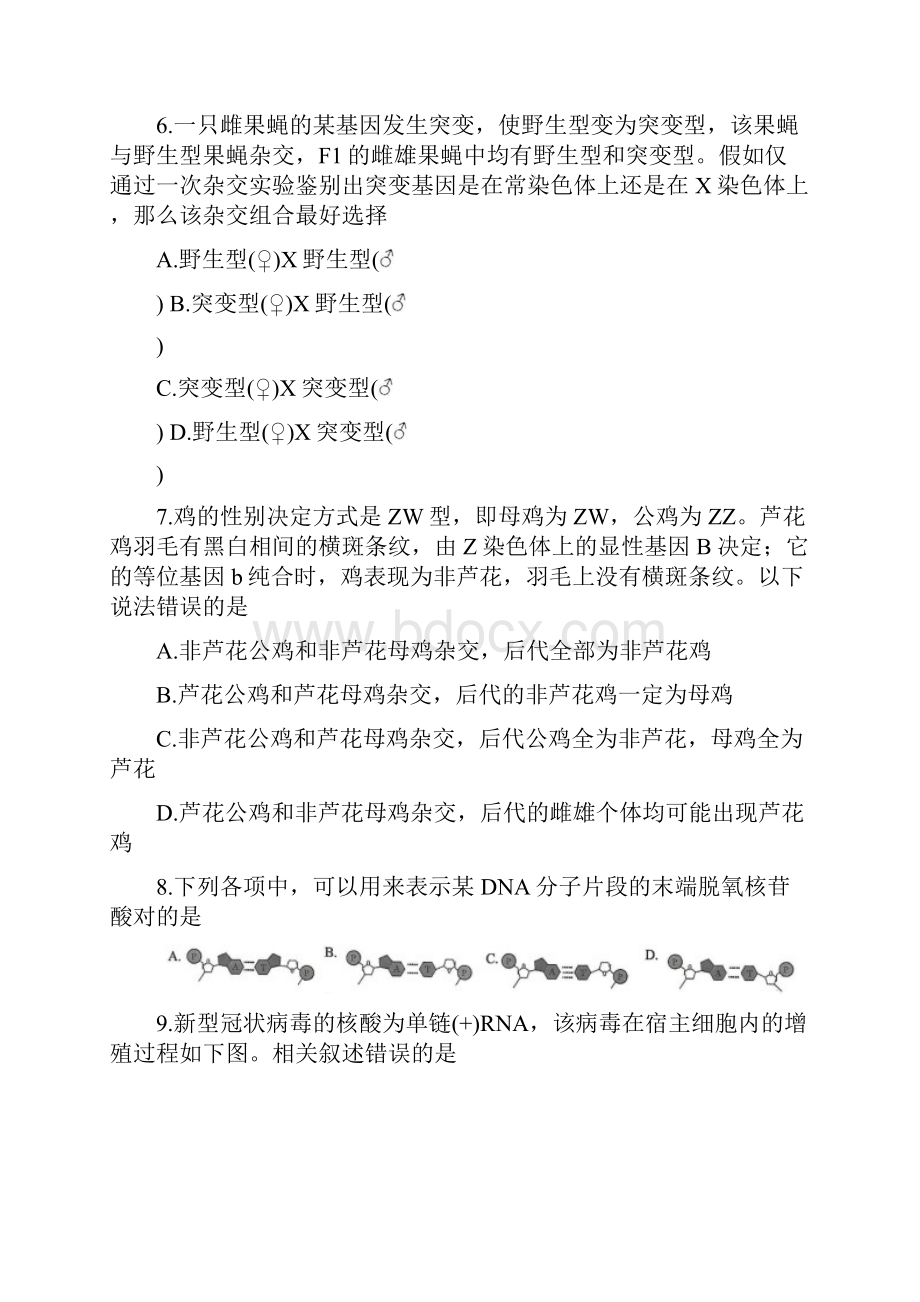 山东省淄博市部分学校学年高一下学期期末教学质量检 生物 Word版含答案.docx_第3页