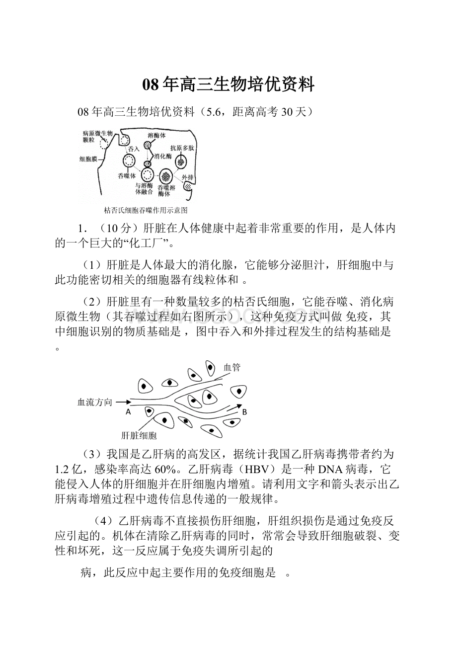 08年高三生物培优资料.docx_第1页