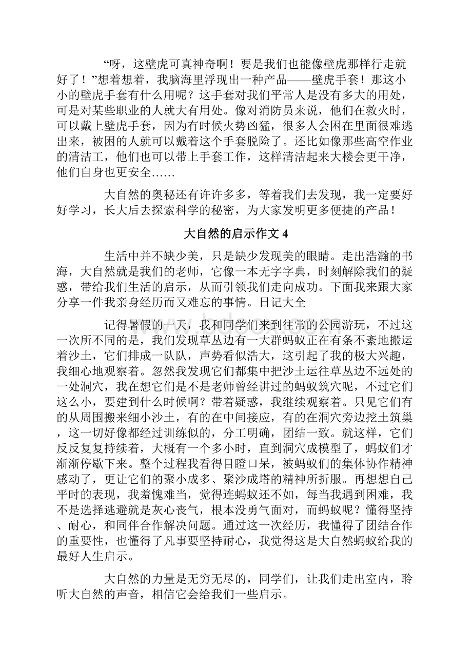 大自然的启示作文精选15篇.docx_第3页