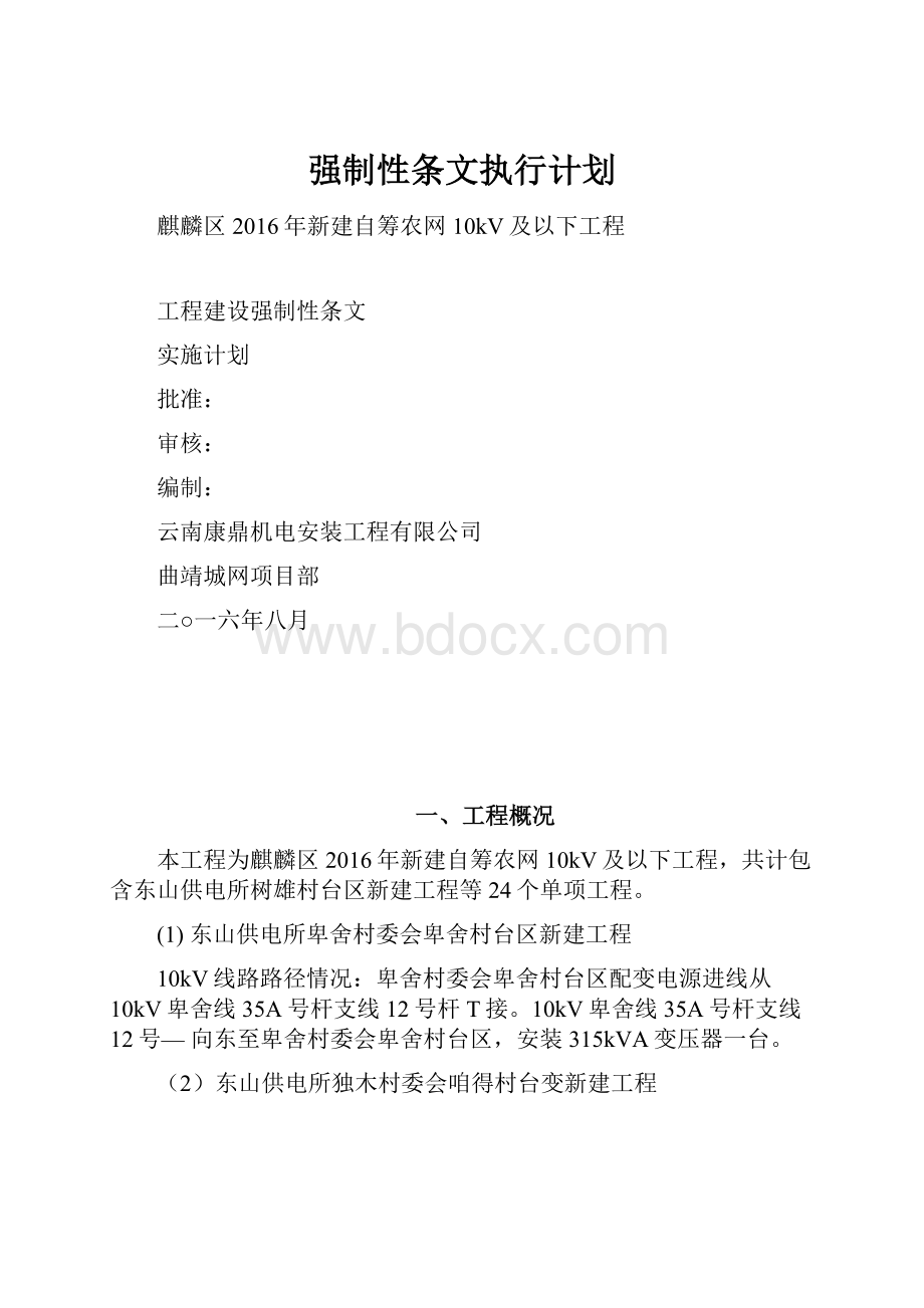 强制性条文执行计划Word文档格式.docx