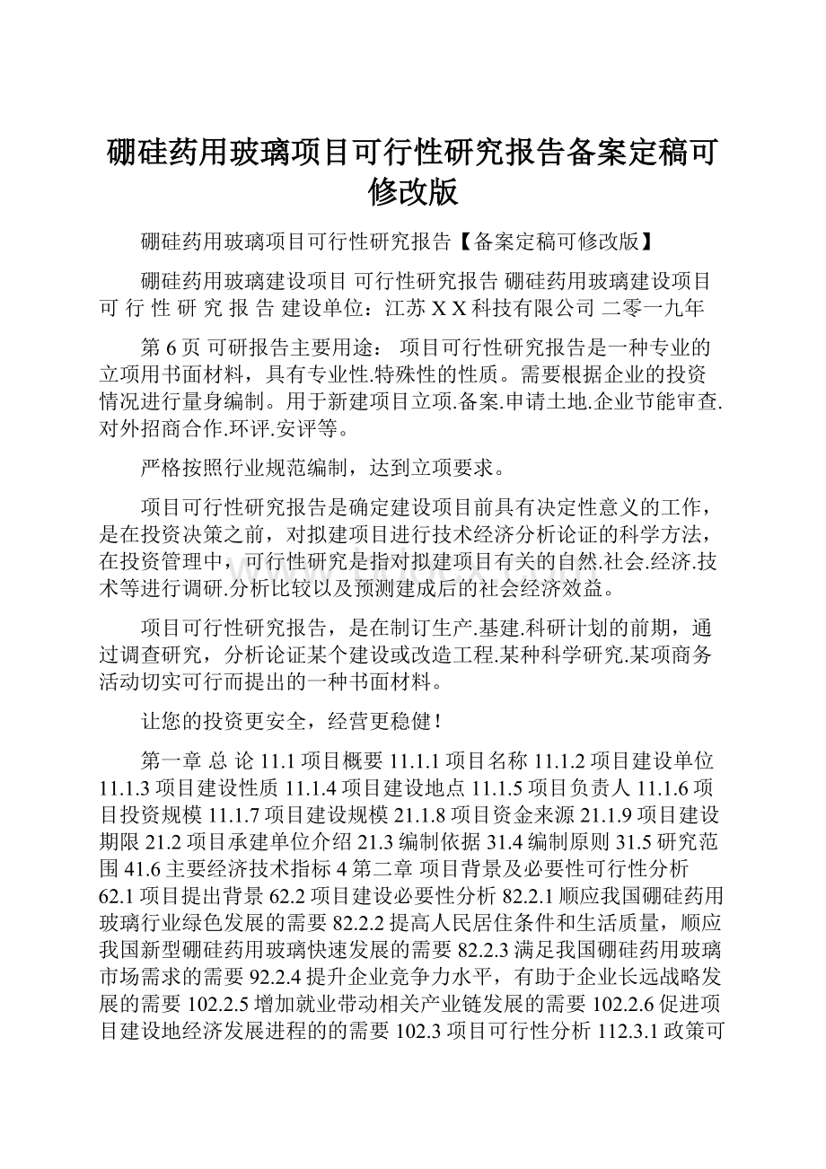 硼硅药用玻璃项目可行性研究报告备案定稿可修改版Word格式文档下载.docx_第1页