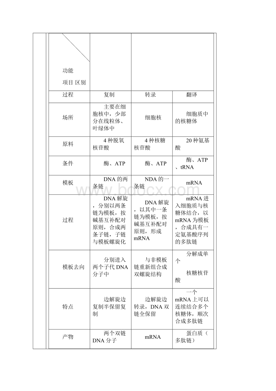 DNA的复制转录与翻译Word文件下载.docx_第2页