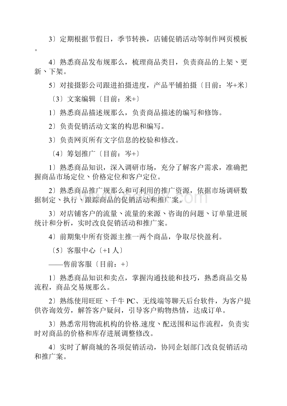 天猫运营实施计划书.docx_第2页