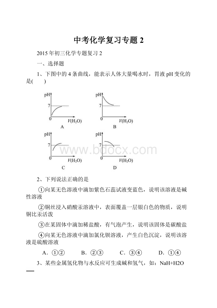 中考化学复习专题2Word文件下载.docx