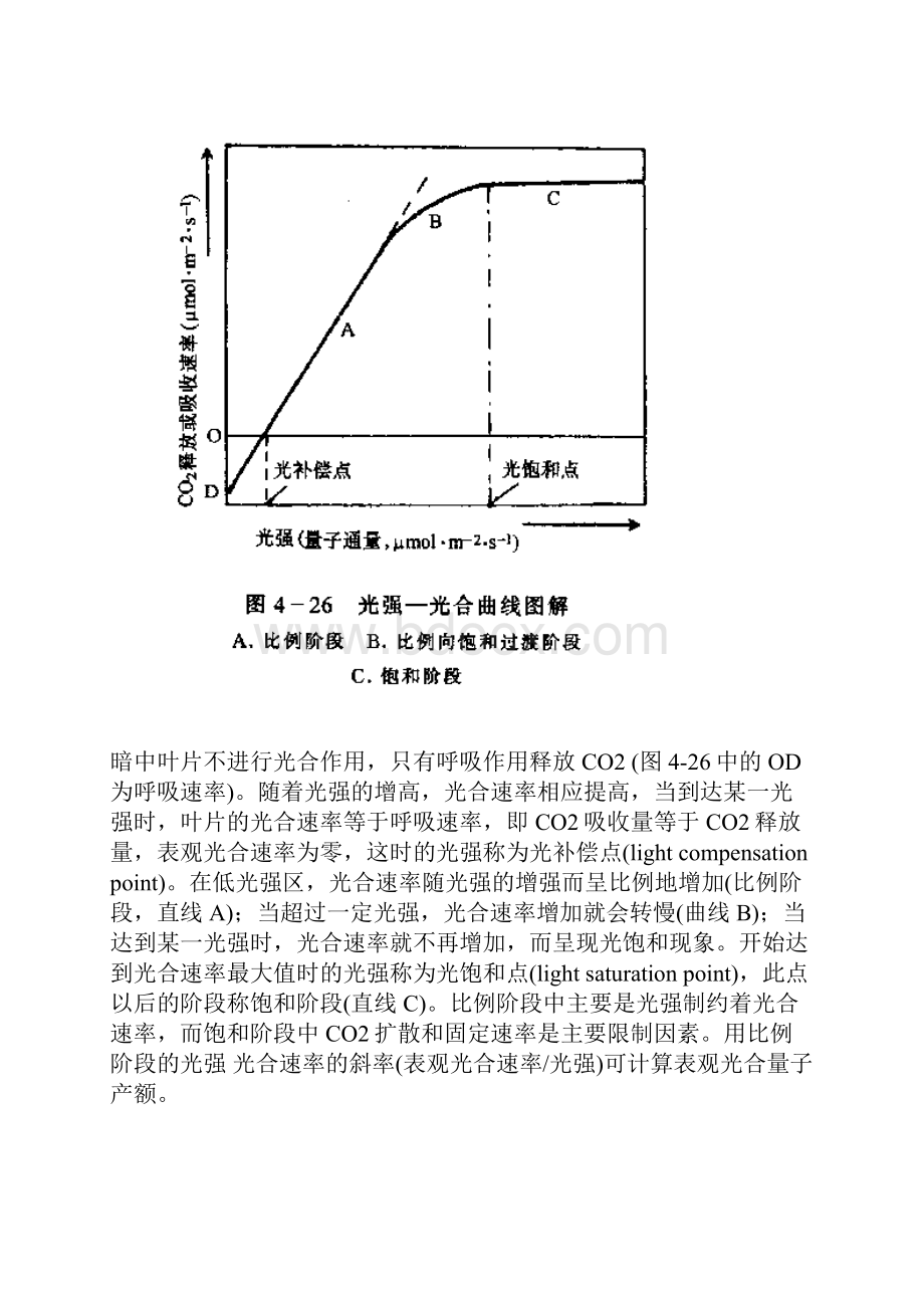 影响光合作用的因素.docx_第3页