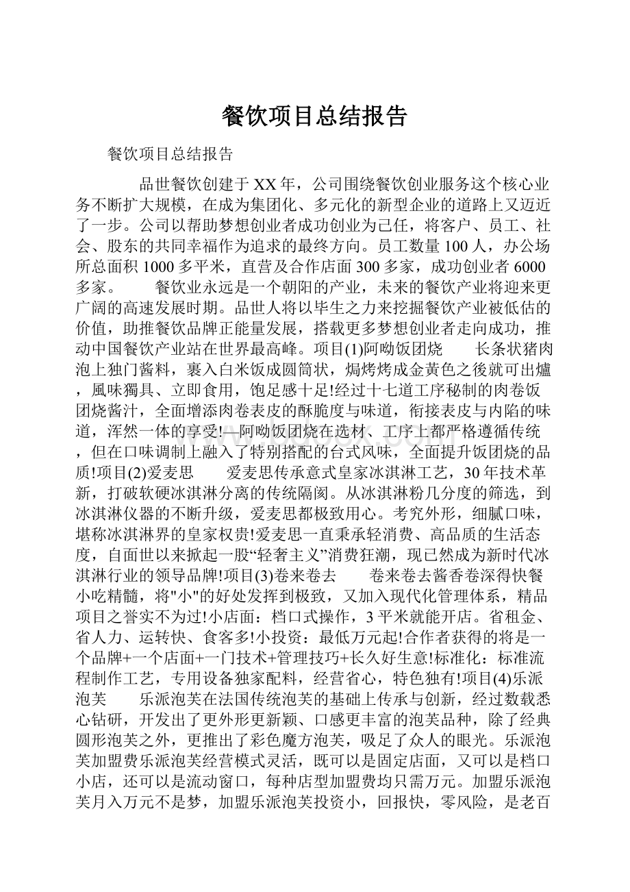 餐饮项目总结报告Word格式文档下载.docx