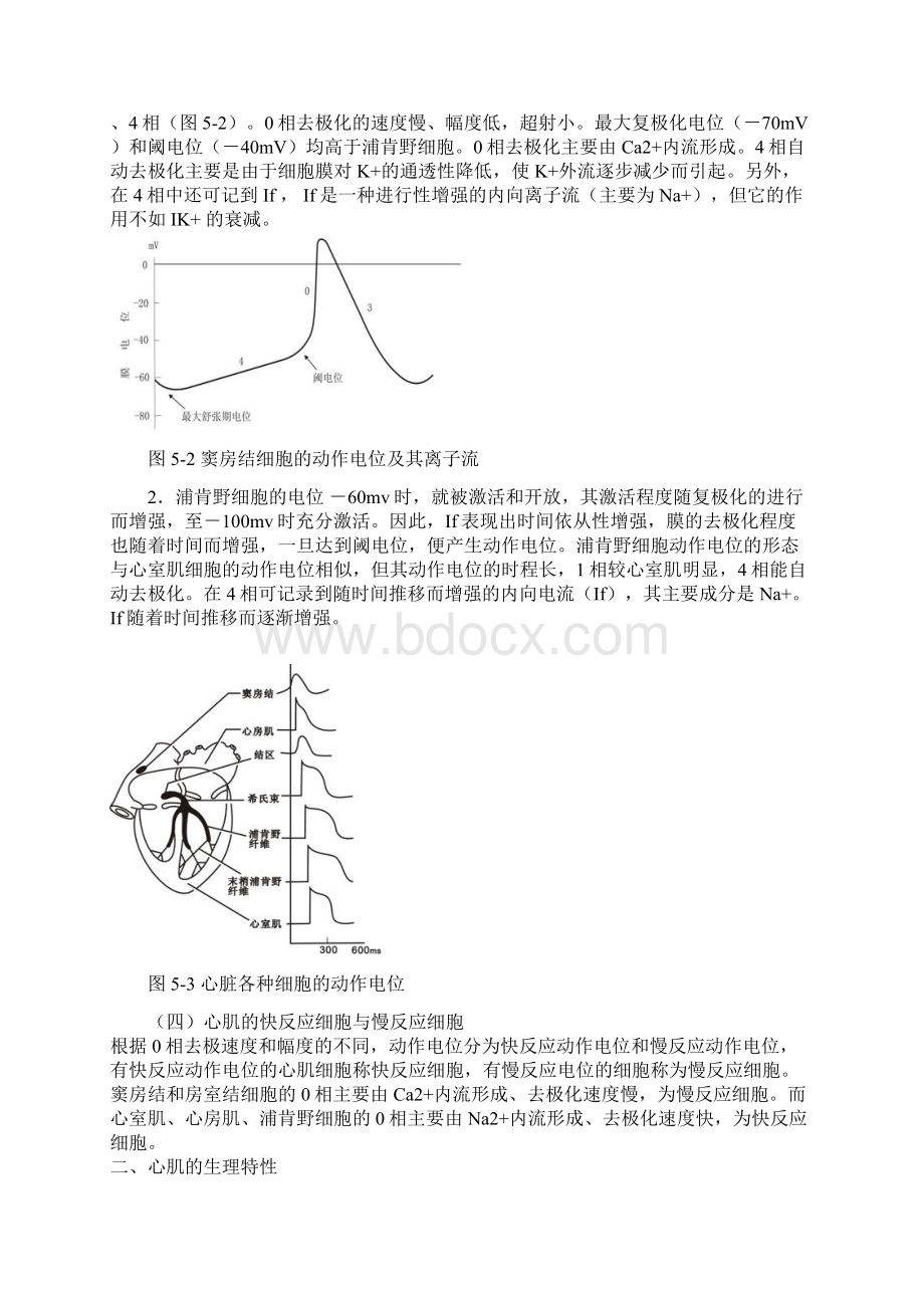 循环系统Word文档下载推荐.docx_第3页