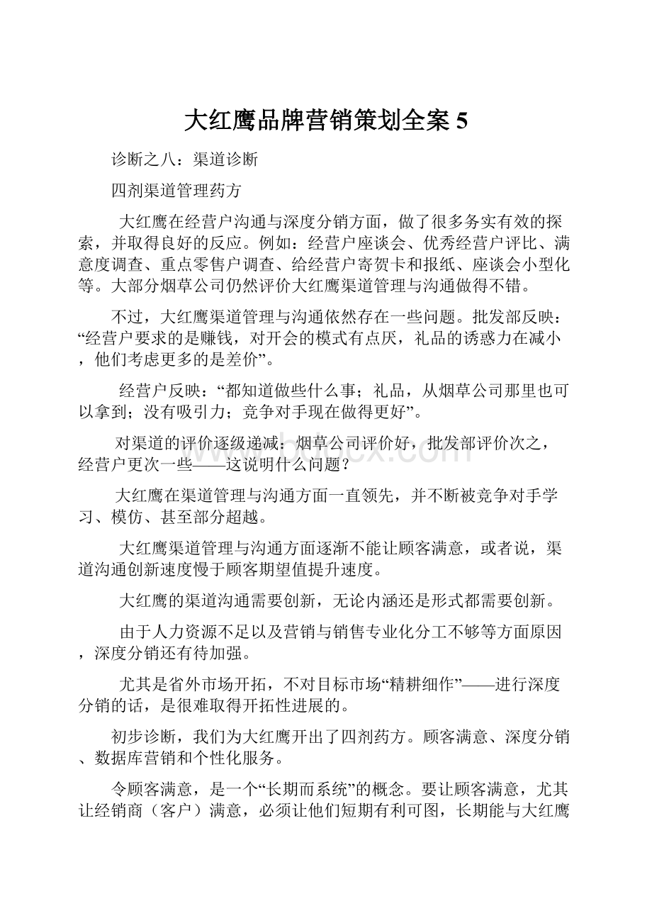 大红鹰品牌营销策划全案5.docx