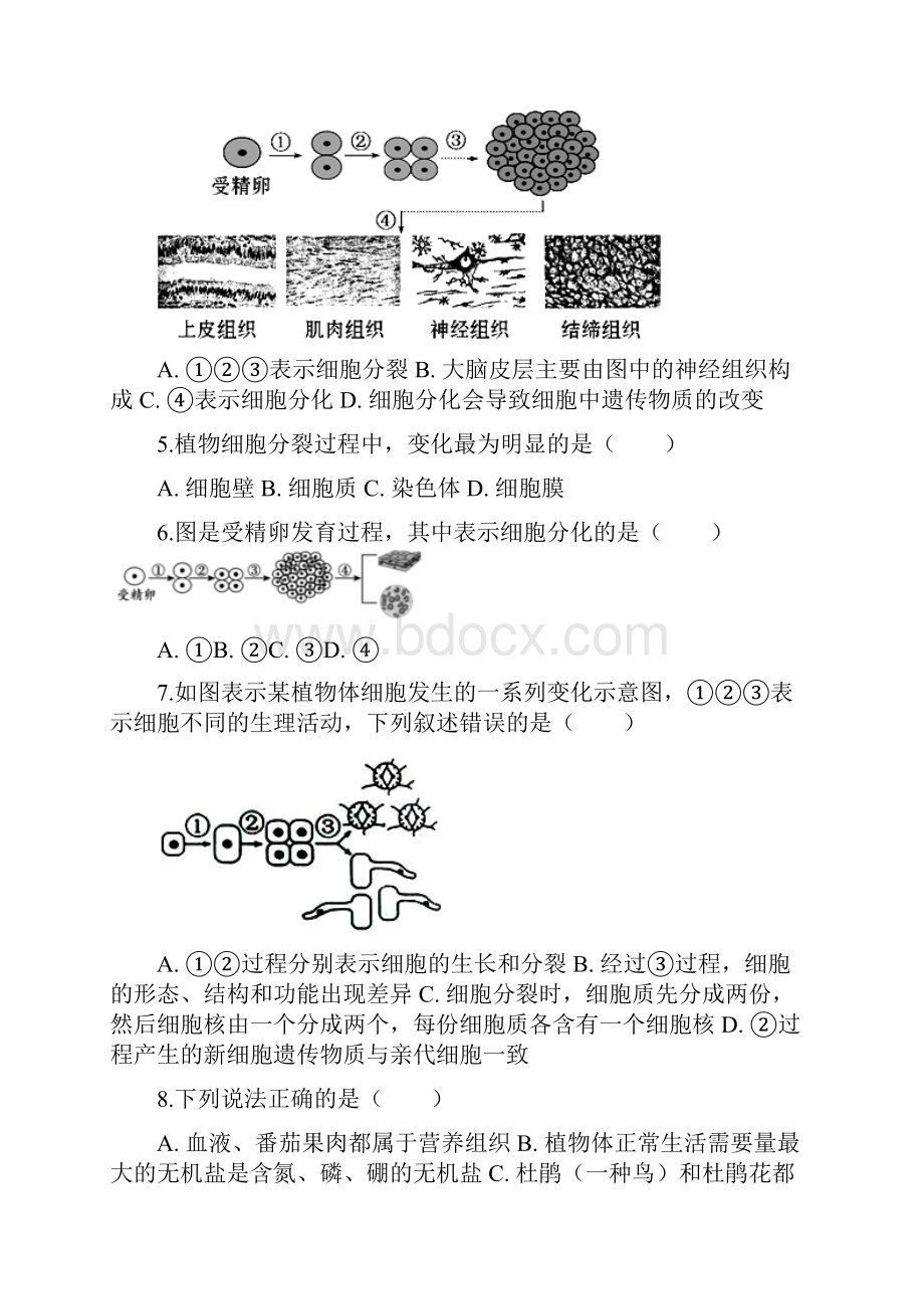 山东省乐陵市致远学校初三复习细胞分裂分化形成组织Word文档格式.docx_第2页