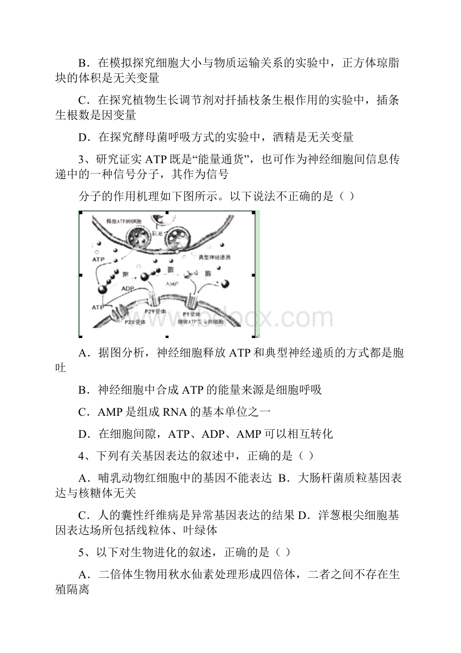 湖北省黄梅一中1213学年高二下学期综合适应训练八理科综合试题.docx_第2页