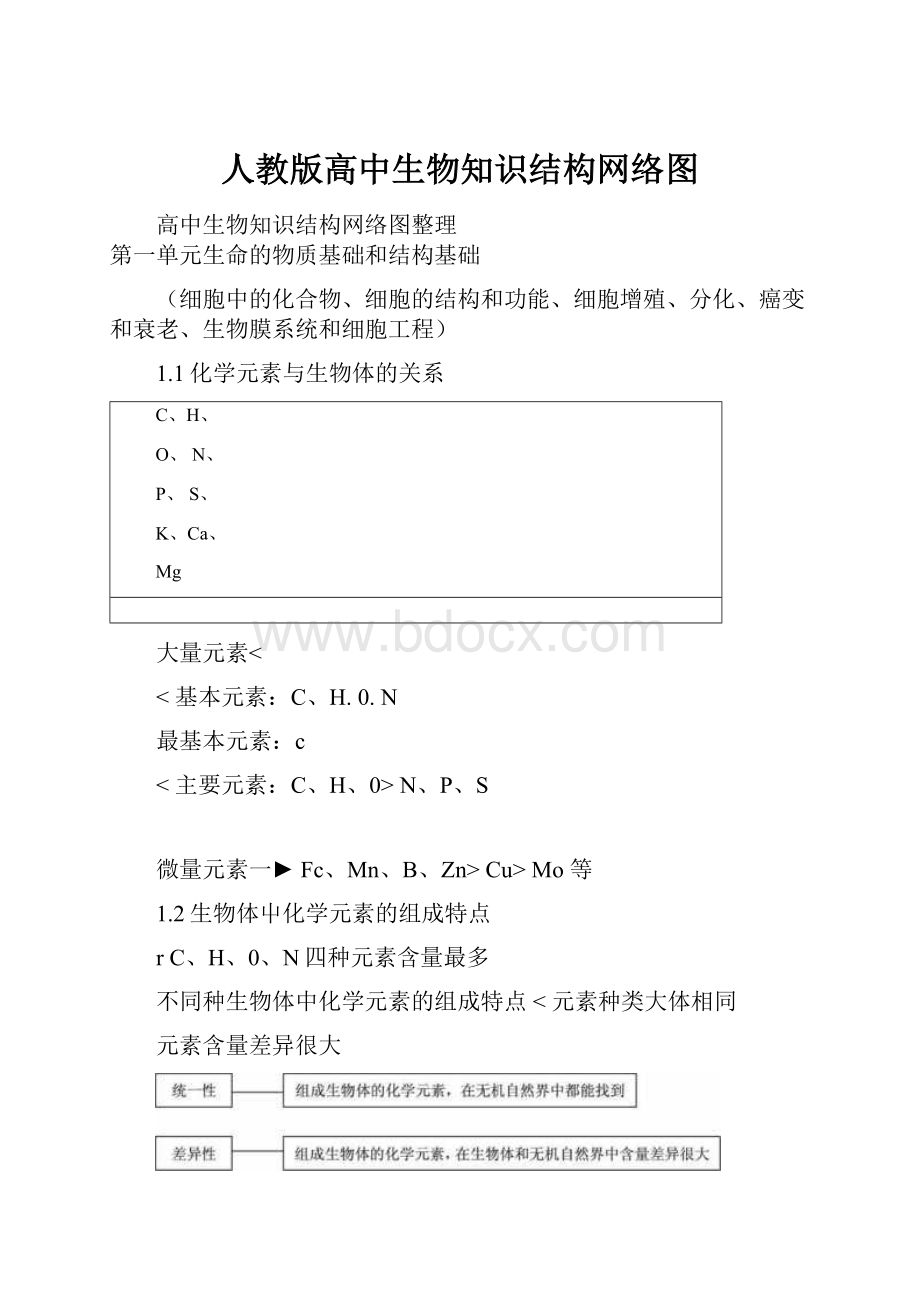 人教版高中生物知识结构网络图Word格式文档下载.docx