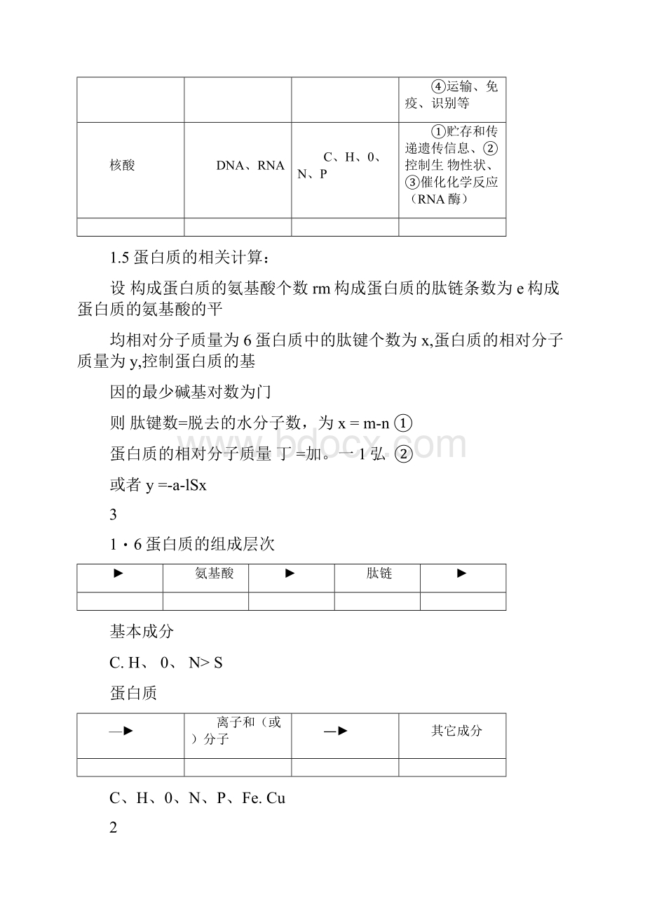 人教版高中生物知识结构网络图Word格式文档下载.docx_第3页