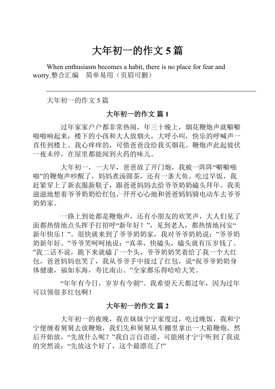 大年初一的作文5篇Word格式.docx