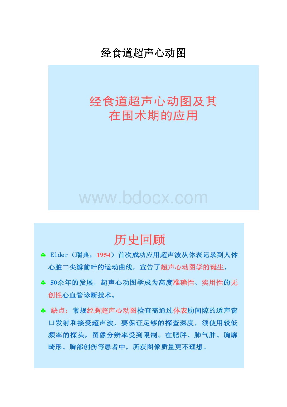 经食道超声心动图.docx