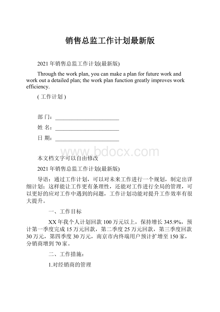 销售总监工作计划最新版.docx_第1页