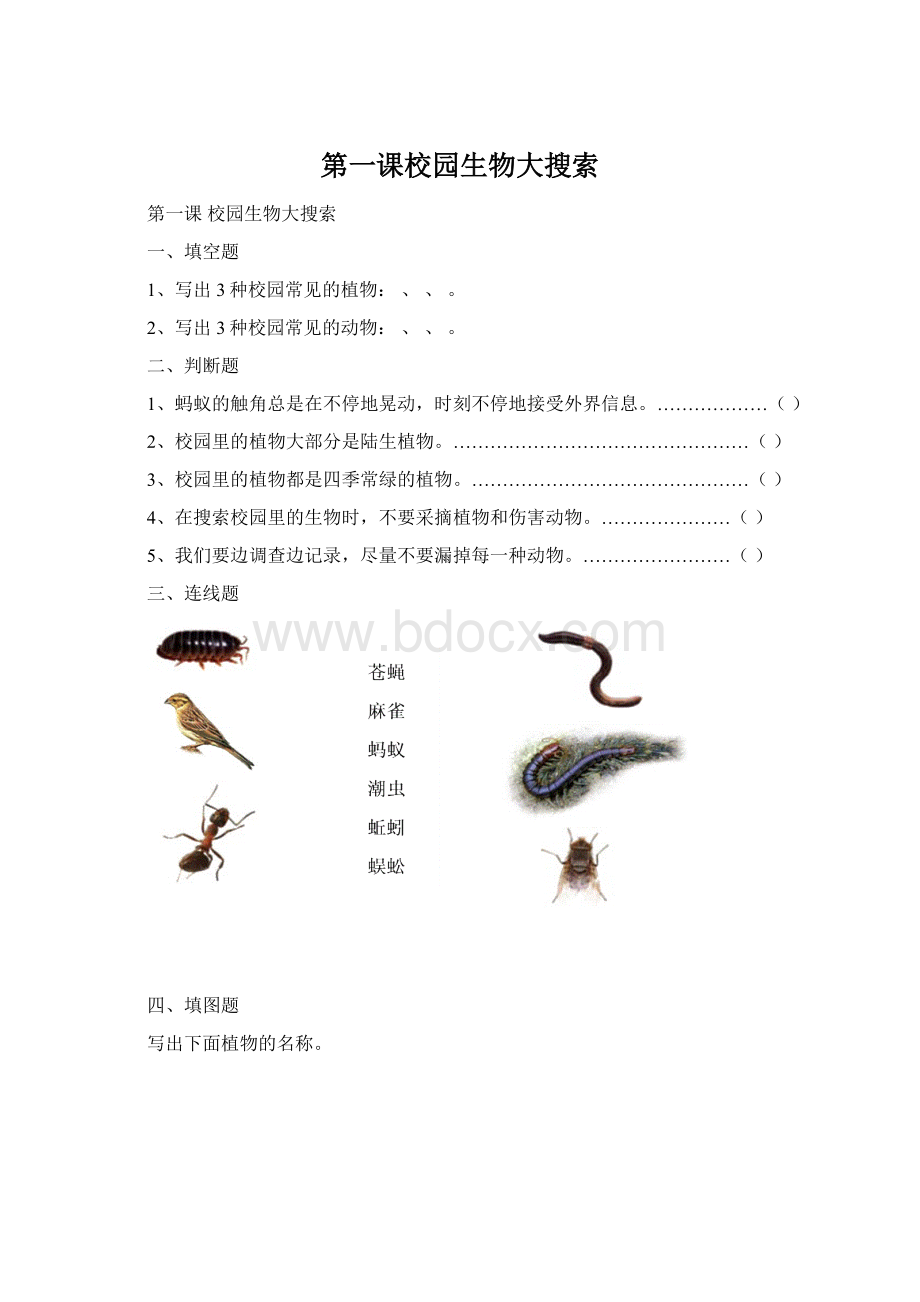 第一课校园生物大搜索Word文件下载.docx