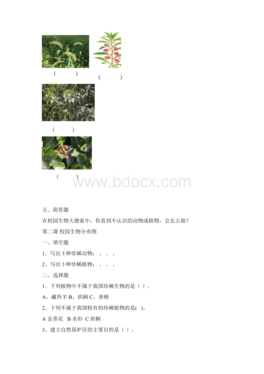 第一课校园生物大搜索.docx_第2页