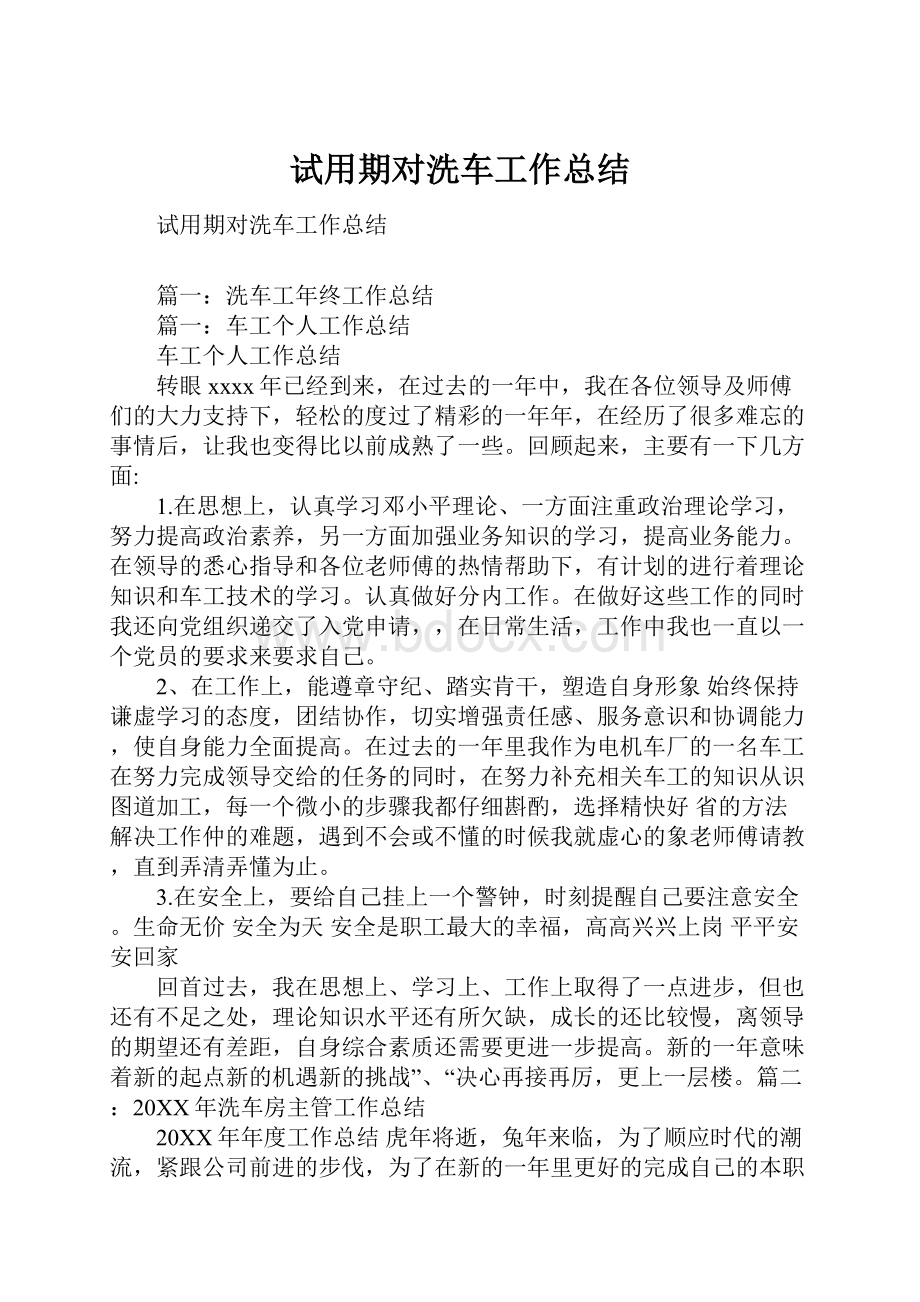 试用期对洗车工作总结Word文件下载.docx