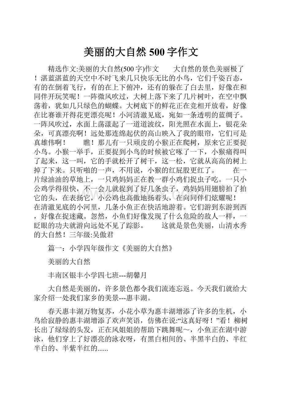 美丽的大自然500字作文.docx