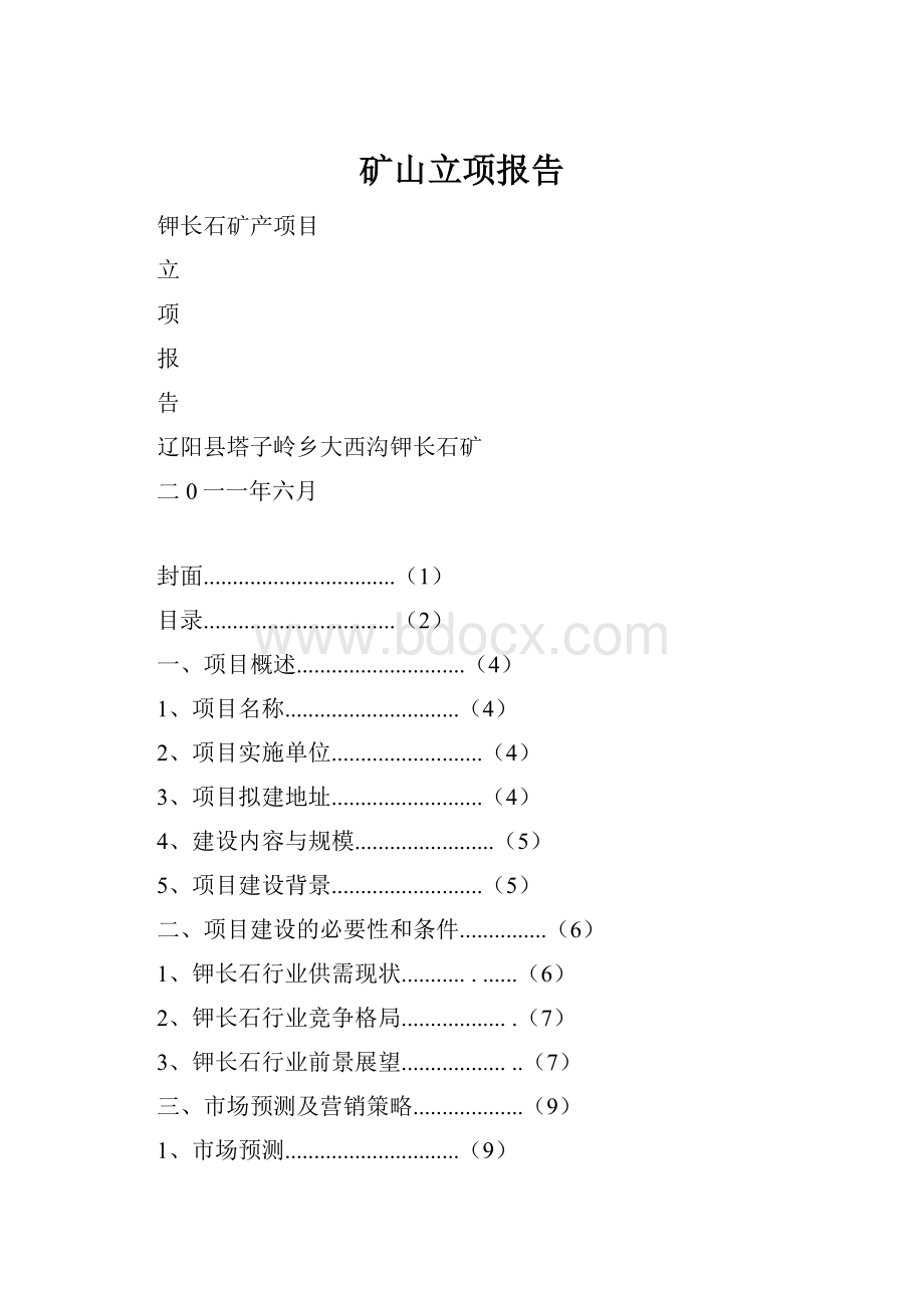 矿山立项报告Word文档格式.docx