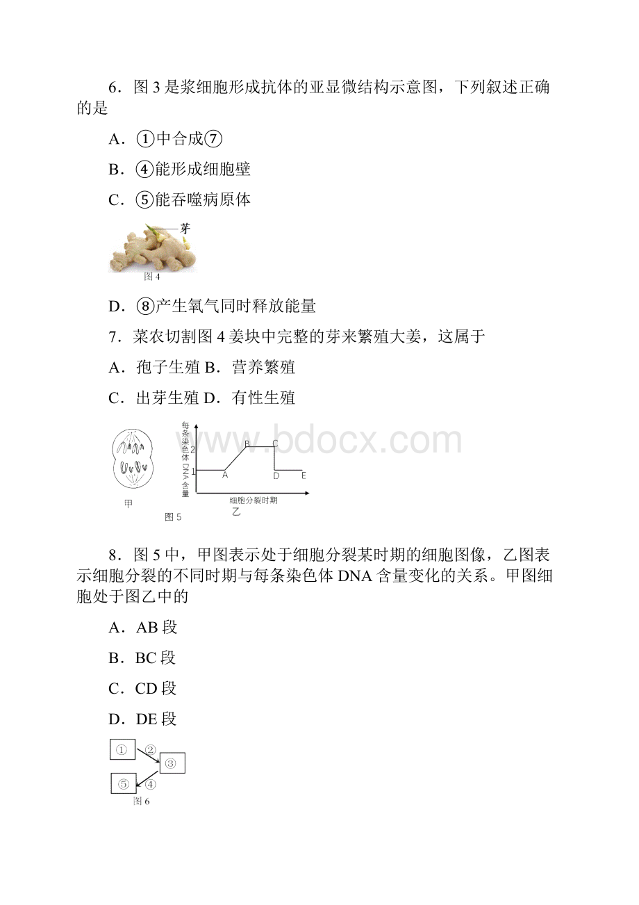 上海市宝山区高二高三第一学期期末一模学科质量检测生物试题学生版.docx_第3页