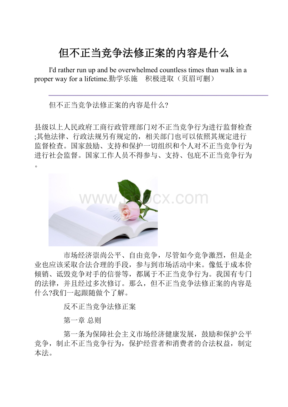 但不正当竞争法修正案的内容是什么.docx_第1页