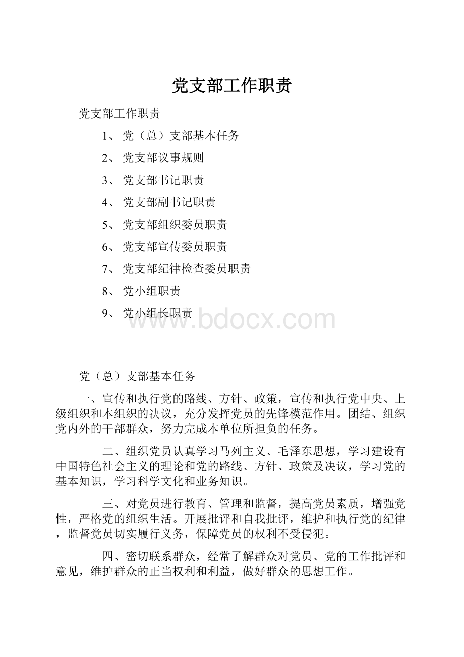 党支部工作职责Word文档格式.docx