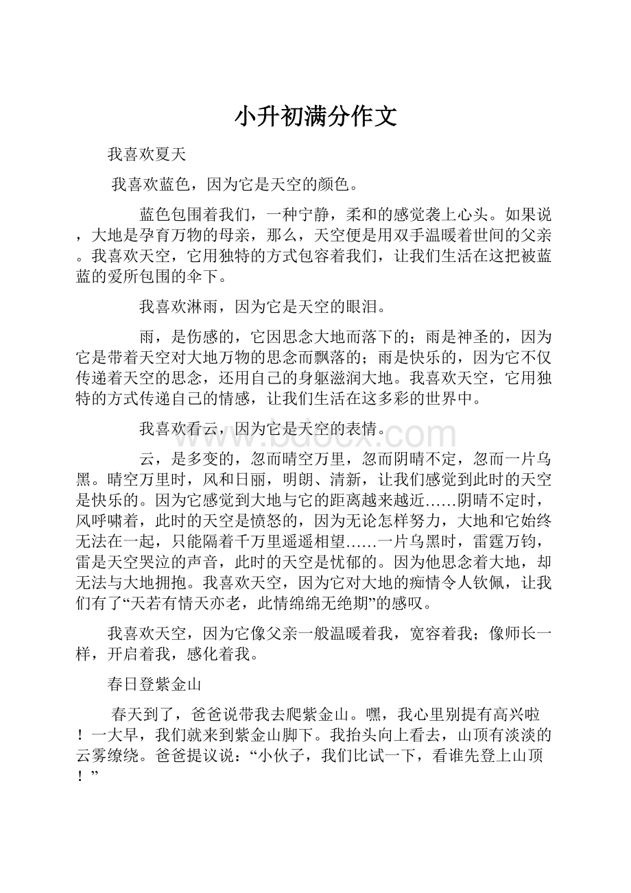 小升初满分作文Word文件下载.docx_第1页