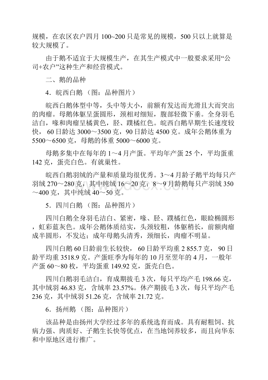 图解养鹅技术Word文档下载推荐.docx_第2页