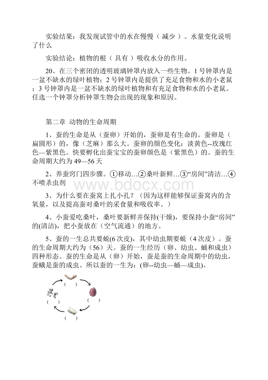 三年级下册科学总复习内容.docx_第3页