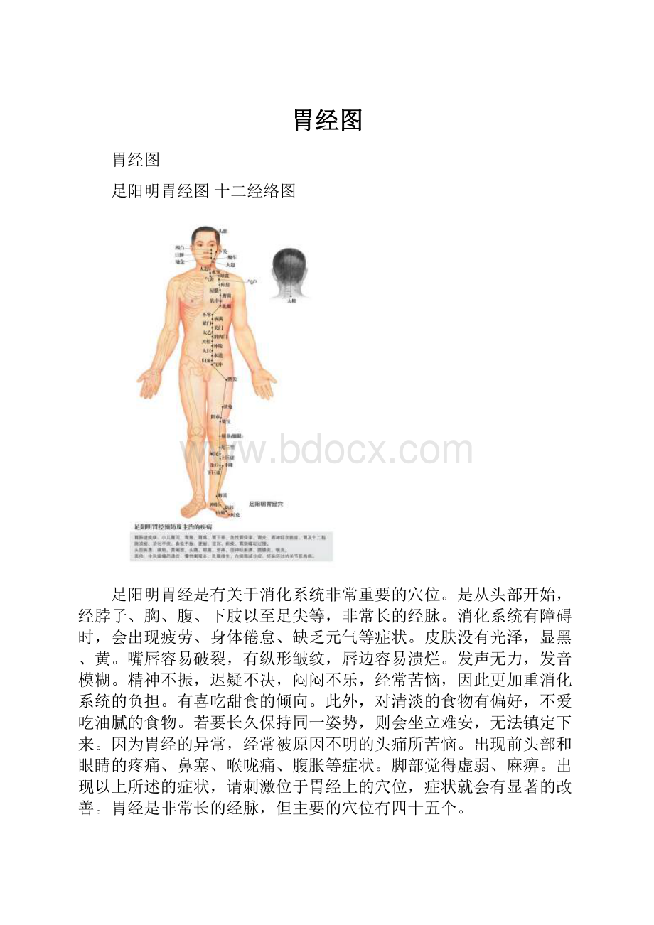 胃经图Word文件下载.docx