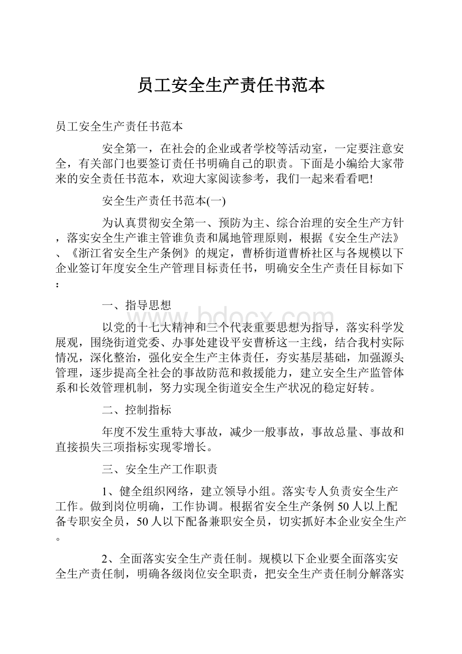 员工安全生产责任书范本文档格式.docx