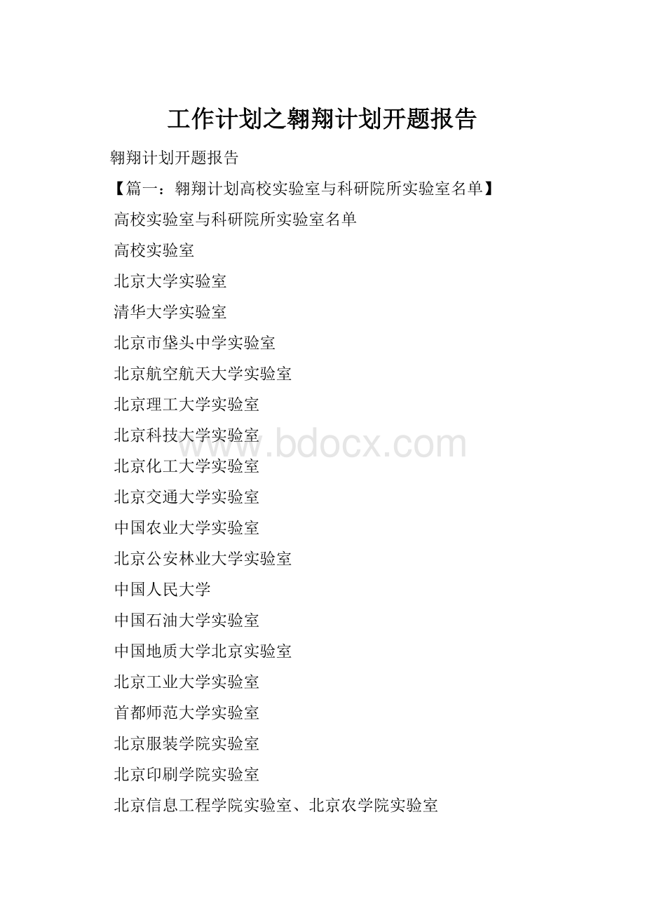 工作计划之翱翔计划开题报告Word文档格式.docx