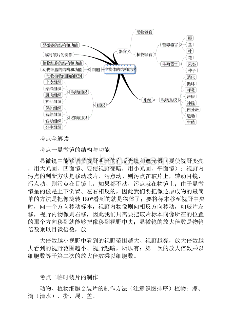 整理七年级生物学上下册思维导图和知识点.docx_第3页