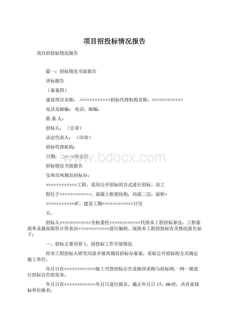 项目招投标情况报告Word格式文档下载.docx